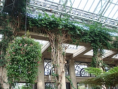 257 Longwood Gardens [2008 August 23]